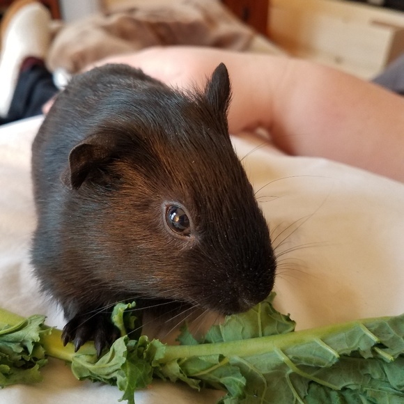 About Me - Picture 5 of 5